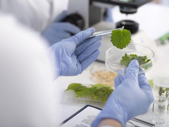 ISO 22000 FSMS-CQI-IRCA