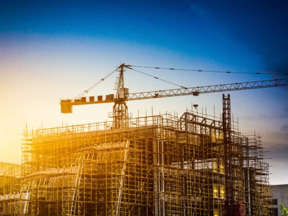 Scaffold Training